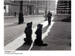 DOISNEAU, Robert 
Les chiens de la Chapelle 1953 
 
