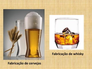 Fabricação de cervejas
Fabricação de whisky
 