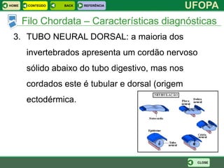 HOME    CONTEÚDO   BACK   REFERÊNCIA
                                                   UFOPA
       Filo Chordata – Características diagnósticas
 3. TUBO NEURAL DORSAL: a maioria dos
        invertebrados apresenta um cordão nervoso
        sólido abaixo do tubo digestivo, mas nos
        cordados este é tubular e dorsal (origem
        ectodérmica.




                                                    CLOSE
 