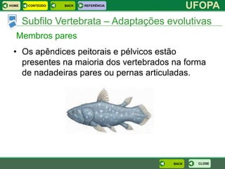 HOME    CONTEÚDO   BACK   REFERÊNCIA
                                               UFOPA
       Subfilo Vertebrata – Adaptações evolutivas
  Membros pares
 • Os apêndices peitorais e pélvicos estão
   presentes na maioria dos vertebrados na forma
   de nadadeiras pares ou pernas articuladas.




                                        BACK    CLOSE
 