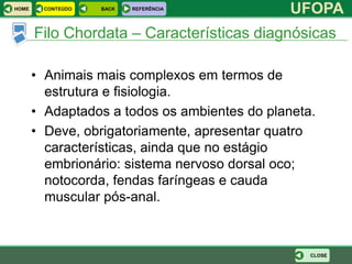 HOME    CONTEÚDO   BACK   REFERÊNCIA
                                               UFOPA
       Filo Chordata – Características diagnósicas

       • Animais mais complexos em termos de
         estrutura e fisiologia.
       • Adaptados a todos os ambientes do planeta.
       • Deve, obrigatoriamente, apresentar quatro
         características, ainda que no estágio
         embrionário: sistema nervoso dorsal oco;
         notocorda, fendas faríngeas e cauda
         muscular pós-anal.



                                                  CLOSE
 