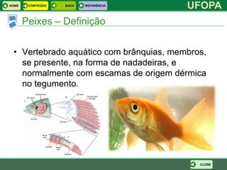 HOME    CONTEÚDO   BACK   REFERÊNCIA
                                         UFOPA
       Peixes – Definição

 • Vertebrado aquático com brânquias, membros,
   se presente, na forma de nadadeiras, e
   normalmente com escamas de origem dérmica
   no tegumento.




                                            CLOSE
 