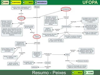 HOME   CONTEÚDO   BACK   REFERÊNCIA
                                              UFOPA




                     Resumo - Peixes   BACK    CLOSE
 