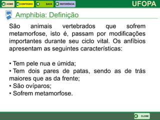 HOME    CONTEÚDO   BACK   REFERÊNCIA
                                            UFOPA
       Amphibia: Definição
 São    animais    vertebrados     que    sofrem
 metamorfose, isto é, passam por modificações
 importantes durante seu ciclo vital. Os anfíbios
 apresentam as seguintes características:

 • Tem pele nua e úmida;
 • Tem dois pares de patas, sendo as de trás
 maiores que as da frente;
 • São ovíparos;
 • Sofrem metamorfose.


                                               CLOSE
 