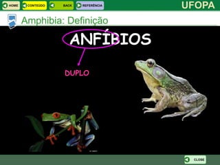 HOME    CONTEÚDO   BACK   REFERÊNCIA
                                       UFOPA
       Amphibia:
       Amphibia Definição

                     ANFÍBIOS

                   DUPLO




                                        CLOSE
 