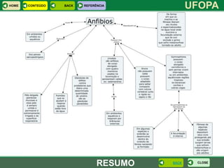 HOME   CONTEÚDO   BACK   REFERÊNCIA
                                               UFOPA




                               RESUMO   BACK    CLOSE
 
