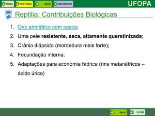 HOME    CONTEÚDO      BACK   REFERÊNCIA
                                                      UFOPA
       Reptilia: Contribuições Biológicas
  1. Ovo amniótico com casca;
  2. Uma pele resistente, seca, altamente queratinizada;
  3. Crânio diápsido (mordedura mais forte);
  4. Fecundação interna;
  5. Adaptações para economia hídrica (rins metanéfricos –
       ácido úrico)




                                               BACK    CLOSE
 