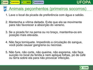 HOME    CONTEÚDO   BACK   REFERÊNCIA
                                                       UFOPA
       Animais peçonhentos (primeiros socorros)
 1. Lave o local da picada de preferência com água e sabão.

 2. Mantenha a vítima deitada. Evite que ela se movimente
    para não favorecer a absorção do veneno.

 3. Se a picada for na perna ou no braço, mantenha-os em
    posição mais elevada.

 4. Não faça torniquete. Impedindo a circulação do sangue,
    você pode causar gangrena ou necrose.

 5. Não fure, não corte, não queime, não esprema, não faça
    sucção no local da ferida e nem aplique folhas, pó de café
    ou terra sobre ela para não provocar infecção.


                                                             CLOSE
 