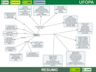 HOME   CONTEÚDO   BACK   REFERÊNCIA
                                           UFOPA




                               RESUMO   BACK   CLOSE
 