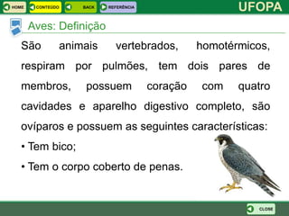 HOME    CONTEÚDO   BACK   REFERÊNCIA
                                                        UFOPA
       Aves: Definição
   São         animais      vertebrados,         homotérmicos,
   respiram por pulmões, tem dois pares de
   membros,         possuem            coração   com    quatro
   cavidades e aparelho digestivo completo, são
   ovíparos e possuem as seguintes características:
   • Tem bico;
   • Tem o corpo coberto de penas.


                                                            CLOSE
 