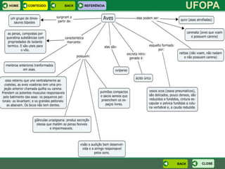 HOME   CONTEÚDO   BACK   REFERÊNCIA
                                         UFOPA




                                      BACK   CLOSE
 