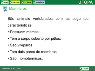 HOME     CONTEÚDO     BACK   REFERÊNCIA
                                           UFOPA
        Mamíferos

     São animais vertebrados com as seguintes
     características:
     • Possuem mamas;
     • Tem o corpo coberto por pêlos;
     • São vivíparos;
     • Tem dois pares de membros;
     • São homotérmicos.

Rickman et al., 2009                        CLOSE
 