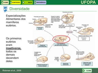 HOME     CONTEÚDO     BACK   REFERÊNCIA
                                                    UFOPA
        Diversidade
   Especializações
   Alimentares dos
   mamíferos
   eutérios.                               Roedor




   Os primeiros                                     Pastador
                                                     (cervo)

   eutérios
   eram
   insetívoros,
   todos os
   demais
   decendem
   deles


Rickman et al., 2009                                           CLOSE
 