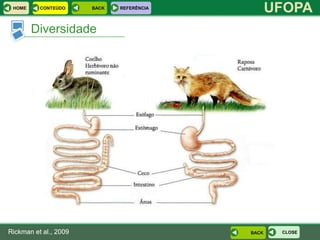 HOME     CONTEÚDO     BACK   REFERÊNCIA
                                                  UFOPA
        Diversidade




Rickman et al., 2009                       BACK    CLOSE
 