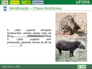 HOME     CONTEÚDO      BACK    REFERÊNCIA
                                                    UFOPA
        Identificação – Chave dicotômica




     5.         Lábio       superior     alongado
     (probóscide), adultos pesam mais de
     80 kg....................PERISSODACTYLA
     5’.           Lábio        superior      sem
     probóscide, pesando menos de 80 kg
     ...................6




Rickman et al., 2009                                 CLOSE
 