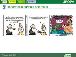 HOME     CONTEÚDO     BACK   REFERÊNCIA
                                           UFOPA
        Importância agrícola e florestal




Rickman et al., 2009                        CLOSE
 