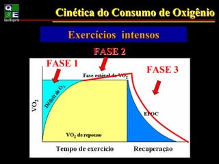Cinética do Consumo de Oxigênio
  Cinética
ExercExercícios eintensos
Exercícios leves moderados
     ícios
         FASE 2
FASE 1
                    FASE 3
 