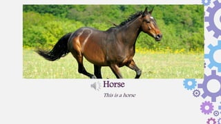 This is a horse
Horse
 