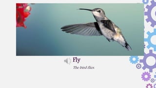The bird flies.
Fly
 