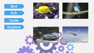 Bird
Fish
Turtle
Airplane
 