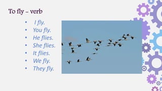To fly - verb
• I fly.
• You fly.
• He flies.
• She flies.
• It flies.
• We fly.
• They fly.
 