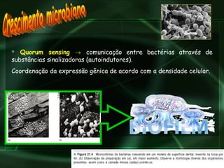 Quorum sensing     comunicação entre bactérias através de substâncias sinalizadoras (autoindutores).  Coordenação da expressão gênica de acordo com a densidade celular. Crescimento microbiano 