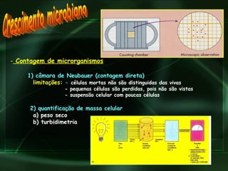 Crescimento microbiano Contagem de microrganismos 1) câmara de Neubauer (contagem direta) limitações:  -  células mortas não são distinguidas das vivas   - pequenas células são perdidas, pois não são vistas   - suspensão celular com poucas células 2) quantificação de massa celular a) peso seco b) turbidimetria 