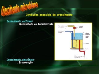 Condições especiais de crescimento Crescimento contínuo : . Quimiostato ou turbidiostato  Crescimento sincrônico : . Esporulação Crescimento microbiano 
