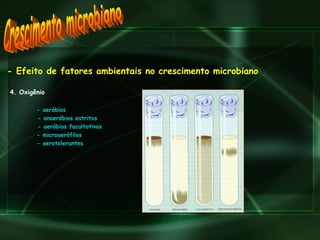 - Efeito de fatores ambientais no crescimento microbiano 4. Oxigênio - aeróbios - anaeróbios estritos  - aeróbios facultativos  - microaerófilos  - aerotolerantes Crescimento microbiano 