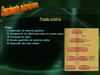 Fissão binária - Etapas: 1) Replicação do material genético 2) Alongamento da célula   (quase duplica seu tamanho original) 3) Formação do septo 4) Divisão igualitária do material celular 5) Separação das duas células  Crescimento microbiano 