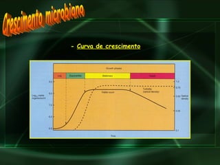Crescimento microbiano -  Curva de crescimento 