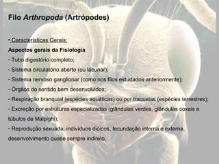 Filo Arthropoda (Artrópodes)
• Características Gerais:
Aspectos gerais da Fisiologia
- Crescimento: como é possível com um...