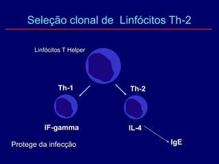 Seleção clonal de Linfócitos Th-2
Protege da infecção
Linfócitos T Helper
Th-1 Th-2
IF-gamma IL-4
IgE
 