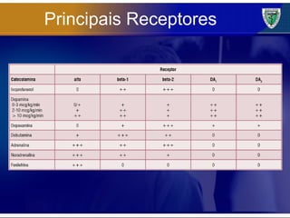 Principais Receptores 