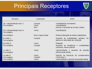 Principais Receptores 