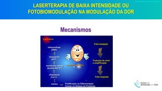 LASERTERAPIA DE BAIXA INTENSIDADE OU
FOTOBIOMODULAÇÃO NA MODULAÇÃO DA DOR
Mecanismos
 