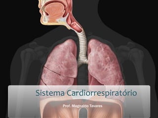 Sistema Cardiorrespiratório 
Prof. Magnaldo Tavares  