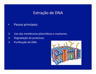Extração	
  de	
  DNA	
  
•  Passos	
  principais:	
  
	
  
Ø  Lise	
  das	
  membranas	
  plasmáJcas	
  e	
  nucleares;	
  
Ø  Degradação	
  de	
  proteínas;	
  
Ø  Puriﬁcação	
  do	
  DNA	
  
 