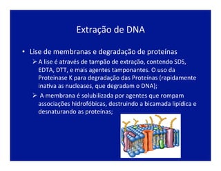 Extração	
  de	
  DNA	
  
•  Lise	
  de	
  membranas	
  e	
  degradação	
  de	
  proteínas	
  
Ø A	
  lise	
  é	
  através	
  de	
  tampão	
  de	
  extração,	
  contendo	
  SDS,	
  
EDTA,	
  DTT,	
  e	
  mais	
  agentes	
  tamponantes.	
  O	
  uso	
  da	
  
Proteinase	
  K	
  para	
  degradação	
  das	
  Proteínas	
  (rapidamente	
  
inaJva	
  as	
  nucleases,	
  que	
  degradam	
  o	
  DNA);	
  
Ø 	
  A	
  membrana	
  é	
  solubilizada	
  por	
  agentes	
  que	
  rompam	
  
associações	
  hidrofóbicas,	
  destruindo	
  a	
  bicamada	
  lipídica	
  e	
  
desnaturando	
  as	
  proteínas;	
  
 