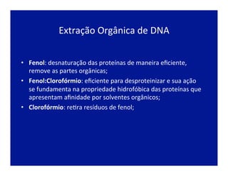Extração	
  Orgânica	
  de	
  DNA	
  
•  Fenol:	
  desnaturação	
  das	
  proteínas	
  de	
  maneira	
  eﬁciente,	
  
remove	
  as	
  partes	
  orgânicas;	
  
•  Fenol:Clorofórmio:	
  eﬁciente	
  para	
  desproteinizar	
  e	
  sua	
  ação	
  
se	
  fundamenta	
  na	
  propriedade	
  hidrofóbica	
  das	
  proteínas	
  que	
  
apresentam	
  aﬁnidade	
  por	
  solventes	
  orgânicos;	
  
•  Clorofórmio:	
  reJra	
  resíduos	
  de	
  fenol;	
  	
  
 