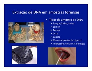 Extração	
  de	
  DNA	
  em	
  amostras	
  forenses	
  
•  Tipos	
  de	
  amostra	
  de	
  DNA	
  
Ø Sangue/saliva,	
  Urina	
  
Ø Sêmen	
  
Ø Tecido	
  
Ø Osso	
  	
  
Ø Cabelo	
  
Ø Marcas	
  e	
  pontas	
  de	
  cigarro;	
  
Ø Impressões	
  em	
  armas	
  de	
  fogo;	
  
 
