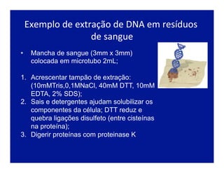 Exemplo	
  de	
  extração	
  de	
  DNA	
  em	
  resíduos	
  
de	
  sangue	
  
•  Mancha de sangue (3mm x 3mm)
colocada em microtubo 2mL;
1.  Acrescentar tampão de extração:
(10mMTris,0,1MNaCl, 40mM DTT, 10mM
EDTA, 2% SDS);
2.  Sais e detergentes ajudam solubilizar os
componentes da célula; DTT reduz e
quebra ligações disulfeto (entre cisteínas
na proteína);
3.  Digerir proteínas com proteinase K
 