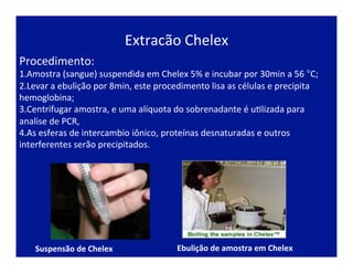 Extracão	
  Chelex	
  
Procedimento:	
  
1. Amostra	
  (sangue)	
  suspendida	
  em	
  Chelex	
  5%	
  e	
  incubar	
  por	
  30min	
  a	
  56	
  °C;	
  
2. Levar	
  a	
  ebulição	
  por	
  8min,	
  este	
  procedimento	
  lisa	
  as	
  células	
  e	
  precipita	
  
hemoglobina;	
  
3. Centrifugar	
  amostra,	
  e	
  uma	
  alíquota	
  do	
  sobrenadante	
  é	
  uJlizada	
  para	
  
analise	
  de	
  PCR,	
  
4. As	
  esferas	
  de	
  intercambio	
  iônico,	
  proteínas	
  desnaturadas	
  e	
  outros	
  
interferentes	
  serão	
  precipitados.	
  
Suspensão	
  de	
  Chelex	
   Ebulição	
  de	
  amostra	
  em	
  Chelex	
  
 