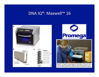 DNA	
  IQ®:	
  Maxwell™	
  16	
  
 