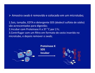 Proteinase	
  K	
  
SDS	
  
Incubar	
  
Ø Amostra	
  swab	
  é	
  removido	
  e	
  colocado	
  em	
  um	
  microtubo;	
  
1. Sais,	
  tampão,	
  EDTA	
  e	
  detergente	
  SDS	
  (dodecil	
  sulfato	
  de	
  sódio)	
  
são	
  acrescentados	
  para	
  digestão;	
  
2. Incubar	
  com	
  Proteinase	
  K	
  a	
  37	
  °C	
  por	
  2	
  h;	
  
3. Centrifugar	
  com	
  um	
  ﬁltro	
  em	
  formato	
  de	
  cesto	
  inserido	
  no	
  
microtubo,	
  e	
  depois	
  remover	
  o	
  swab;	
  	
  
 