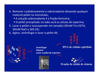 Centrifugar	
  
Separar	
  
Lavar	
  o	
  pellet	
  de	
  esperma	
  
Fração de célula de sêmem
DNA de células epiteliais
4.  Remover	
  cuidadosamente	
  o	
  sobrenadante	
  deixando	
  qualquer	
  
material	
  pellet	
  no	
  microtubo;	
  
§ 	
  A	
  solução	
  sobrenadante	
  é	
  a	
  fração	
  feminina;	
  
§ 	
  O	
  pellet	
  precipitado	
  no	
  tubo	
  será	
  as	
  células	
  de	
  esperma;	
  
5.  Lavar	
  o	
  pellet	
  e	
  ressuspender	
  em	
  tampão	
  (10mM	
  Tris-­‐EDTA,	
  
50mM	
  NaCl	
  e	
  SDS	
  2%;	
  
6.  Agitar,	
  centrifugar	
  e	
  lavar	
  o	
  pellet	
  4X;	
  
 
