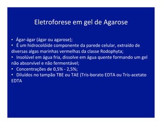 Eletroforese	
  em	
  gel	
  de	
  Agarose	
  
• 	
  	
  	
  Ágar-­‐ágar	
  (ágar	
  ou	
  agarose);	
  
• 	
  	
  	
  É	
  um	
  hidrocolóide	
  componente	
  da	
  parede	
  celular,	
  extraído	
  de	
  
diversas	
  algas	
  marinhas	
  vermelhas	
  da	
  classe	
  Rodophyta;	
  
• 	
  	
  	
  Insolúvel	
  em	
  água	
  fria,	
  dissolve	
  em	
  água	
  quente	
  formando	
  um	
  gel	
  
não	
  absorvível	
  e	
  não	
  fermentável;	
  
• 	
  	
  	
  Concentrações	
  de	
  0,5%	
  -­‐	
  2,5%;	
  
• 	
  	
  	
  Diluídos	
  no	
  tampão	
  TBE	
  ou	
  TAE	
  (Tris-­‐borato	
  EDTA	
  ou	
  Tris-­‐acetato	
  
EDTA	
  
 