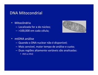 DNA	
  Mitocondrial	
  
•  Mitocôndria	
  	
  
–  Localizada	
  for	
  a	
  do	
  núcleo;	
  
–  >100,000	
  em	
  cada	
  célula;	
  
	
  
•  mtDNA	
  análise	
  
–  Quando	
  o	
  DNA	
  nuclear	
  não	
  é	
  disponível;	
  
–  Mais	
  sensível,	
  maior	
  tempo	
  de	
  análise	
  e	
  custo;	
  
–  Duas	
  regiões	
  altamente	
  variáveis	
  são	
  analisadas:	
  
•  HV1	
  e	
  HV2	
  
	
  
	
  
 