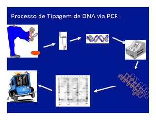 Processo	
  de	
  Tipagem	
  de	
  DNA	
  via	
  PCR	
  
 