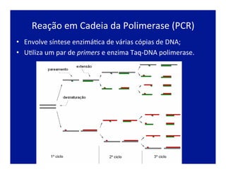•  Envolve	
  síntese	
  enzimáJca	
  de	
  várias	
  cópias	
  de	
  DNA;	
  
•  UJliza	
  um	
  par	
  de	
  primers	
  e	
  enzima	
  Taq-­‐DNA	
  polimerase.	
  
Reação	
  em	
  Cadeia	
  da	
  Polimerase	
  (PCR)	
  
 